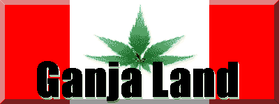 Canadian Marijuana Flag!